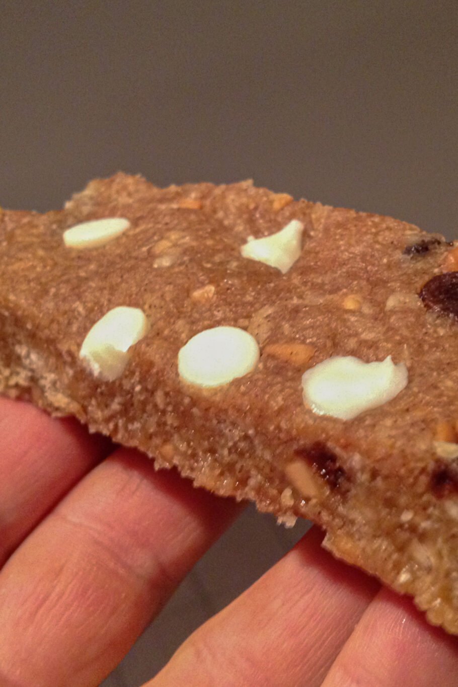 Homemade Protein Bars Recipe