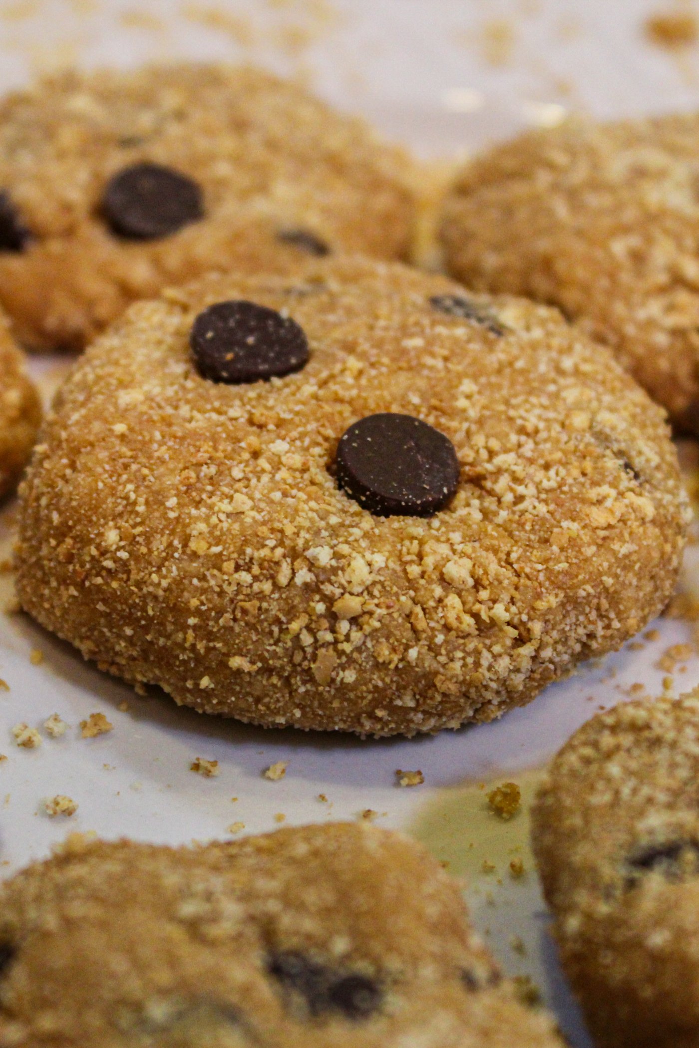 Chocolate Chip Cookie Dough Protein Bites