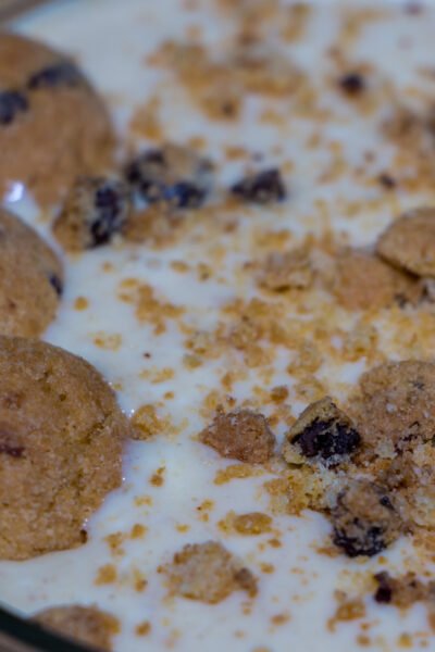 Cookie Protein Pudding Recipe