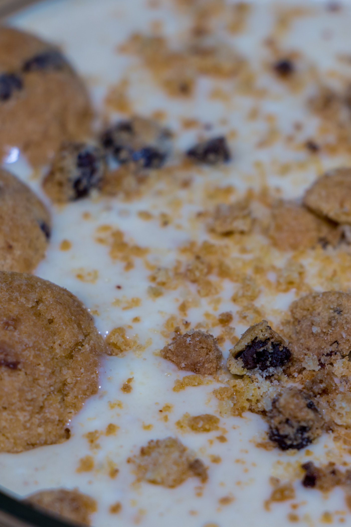 Cookie Protein Pudding