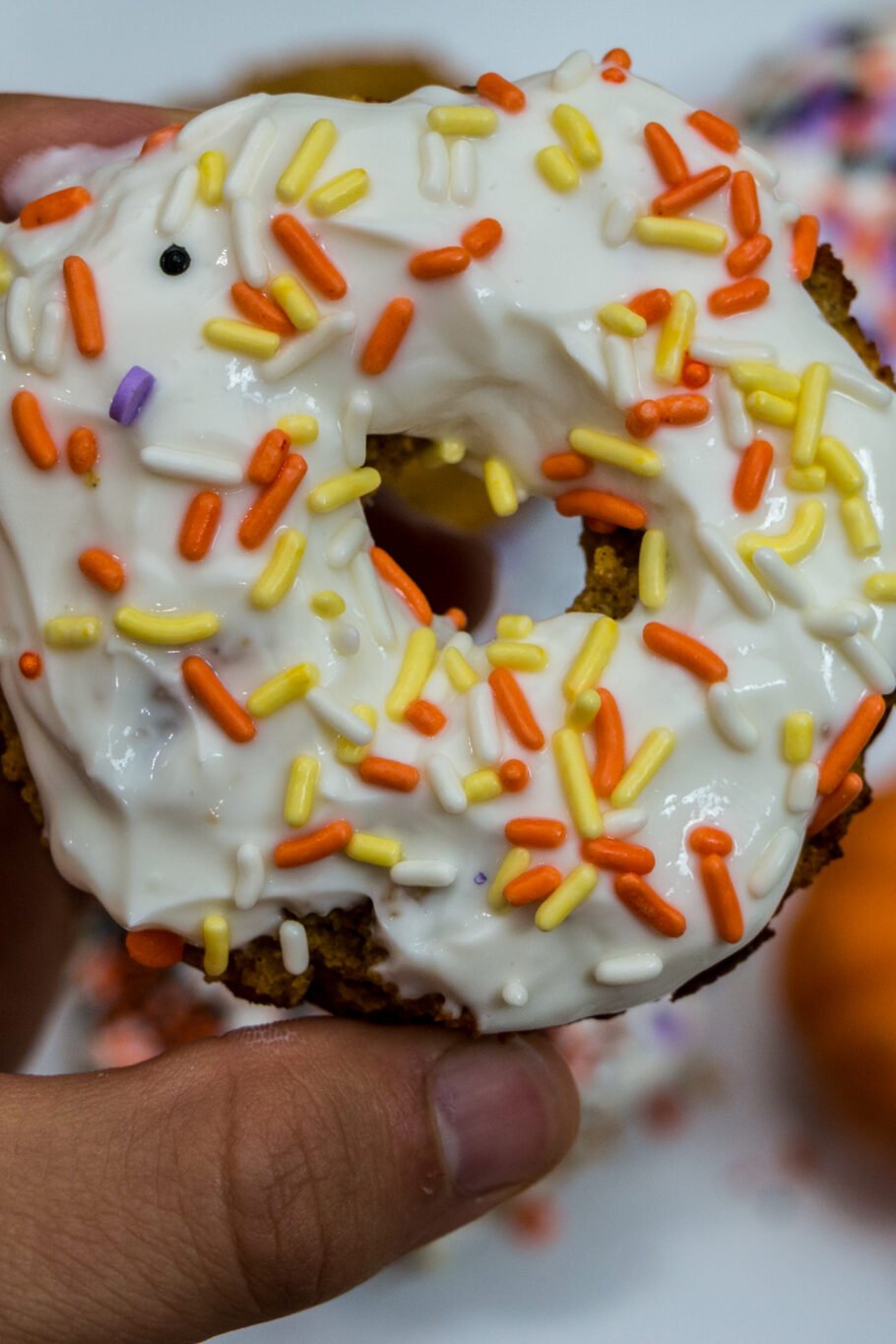 Pumpkin Protein Donuts Recipe