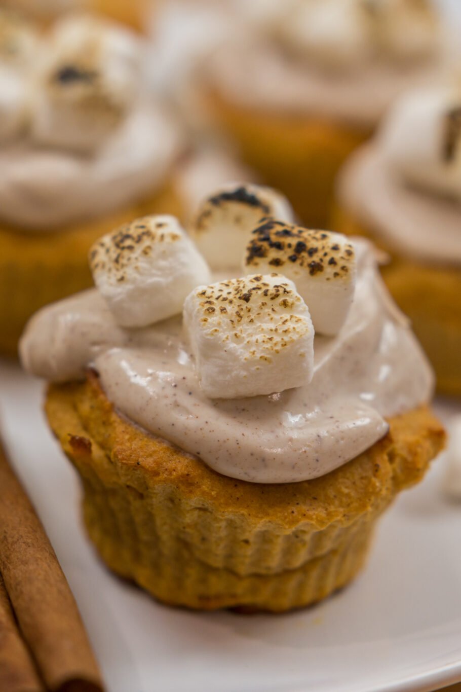 Mini Sweet Potato Protein Cupcakes Recipe