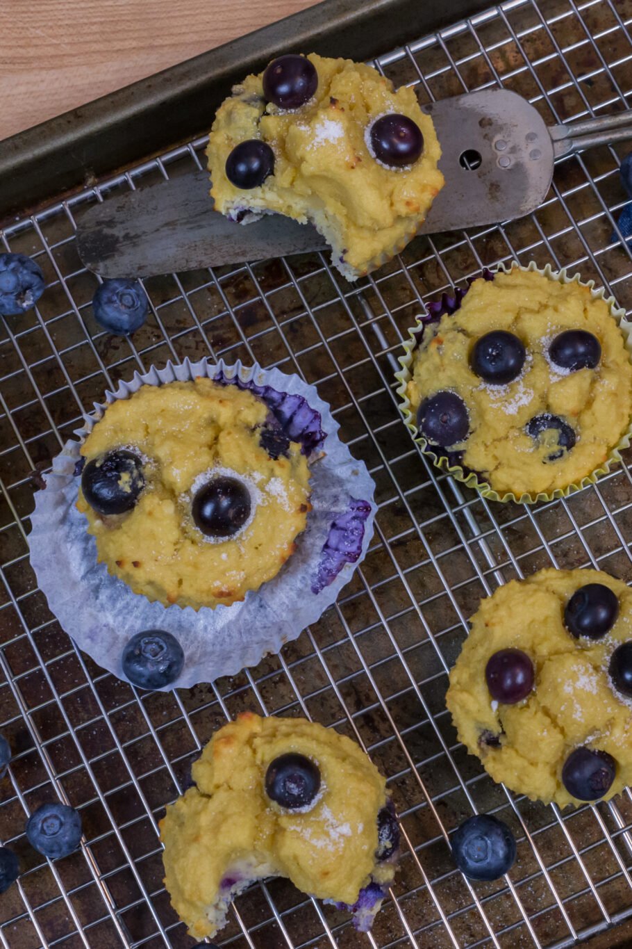 Blueberry Protein Muffins Recipe