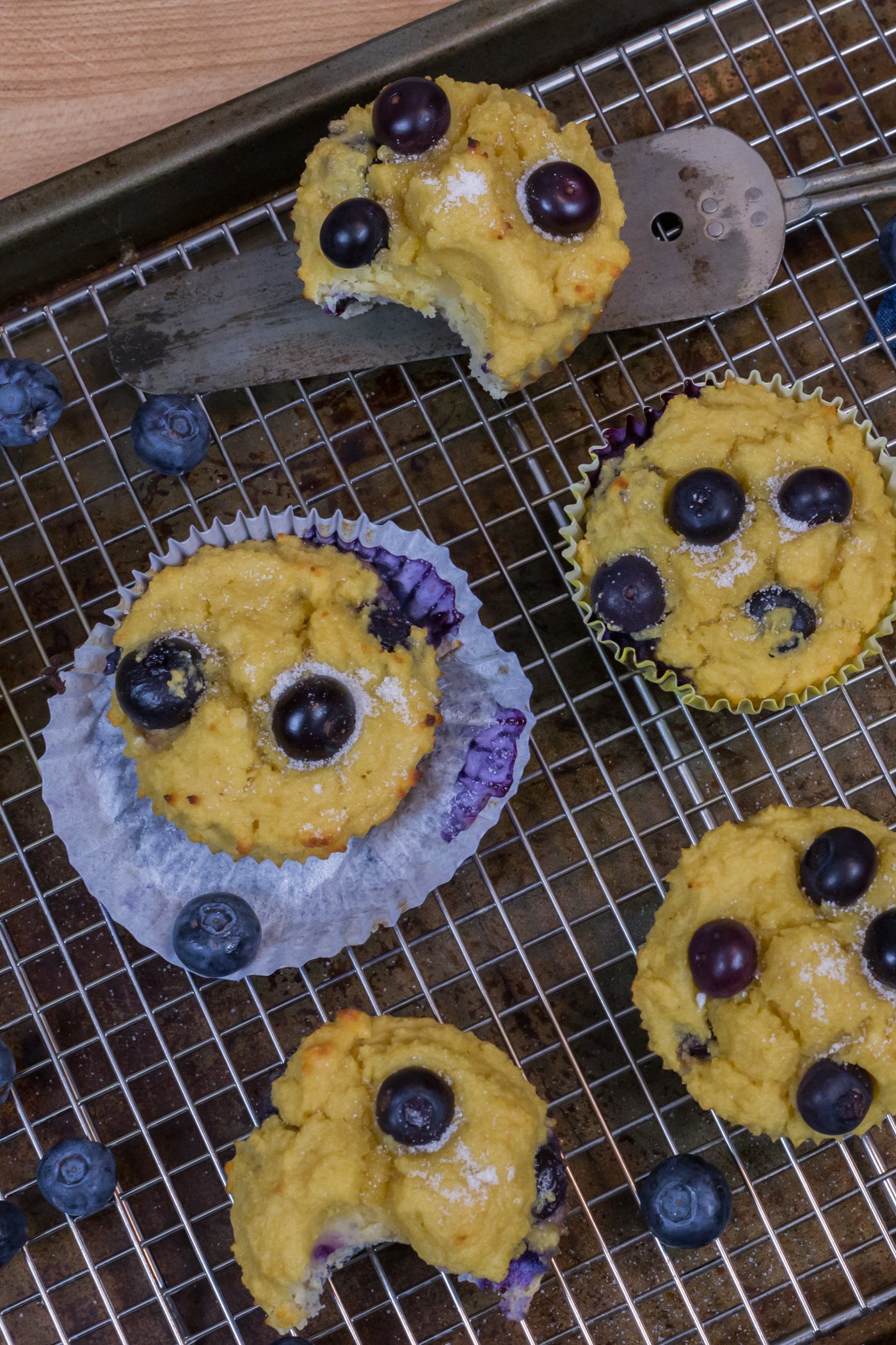 Easy Blueberry Protein Muffins