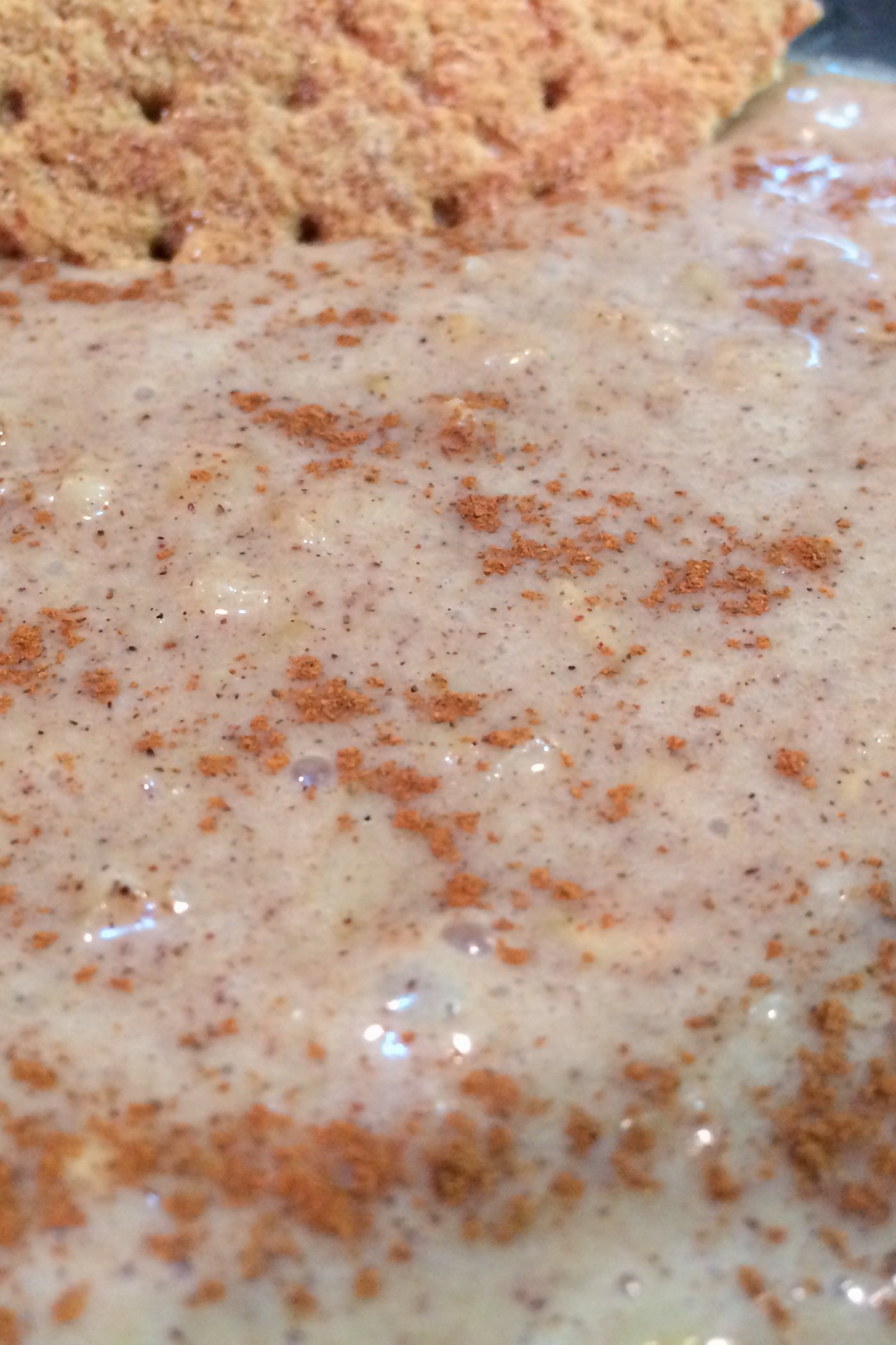 Gingerbread Cookie Protein Oatmeal