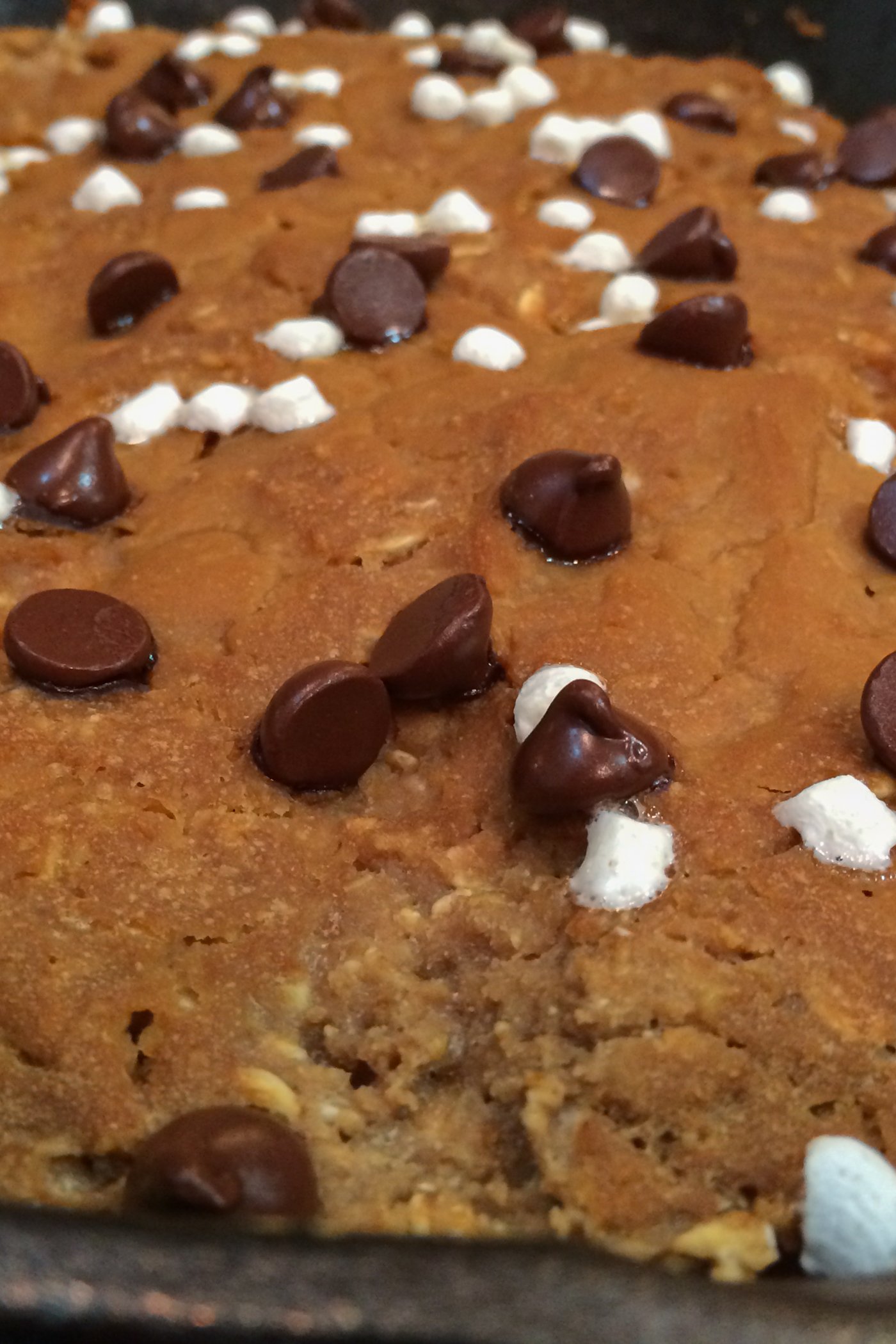Oatmeal Skillet Protein Cookie