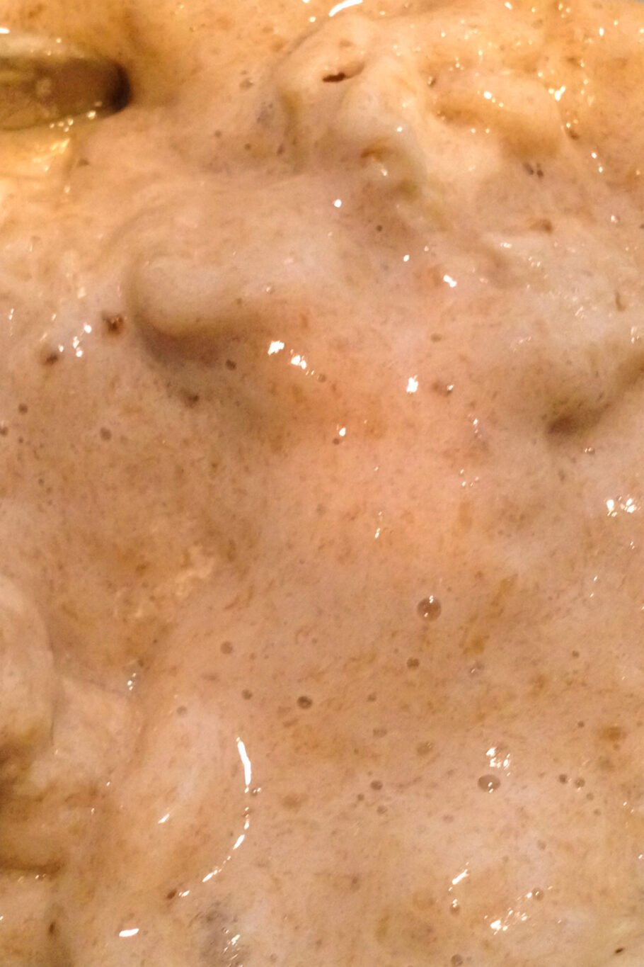 Protein Banana Ice Cream Recipe