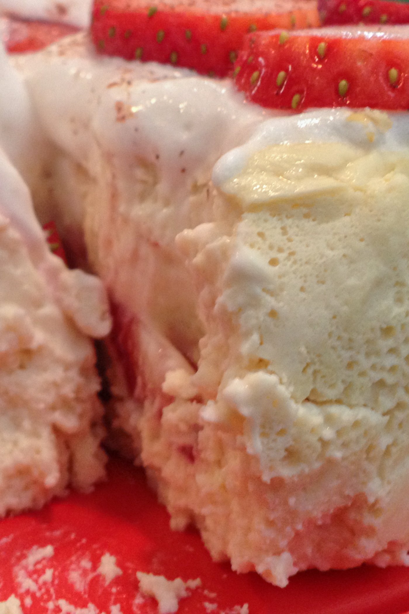 The Best Protein Cheesecake
