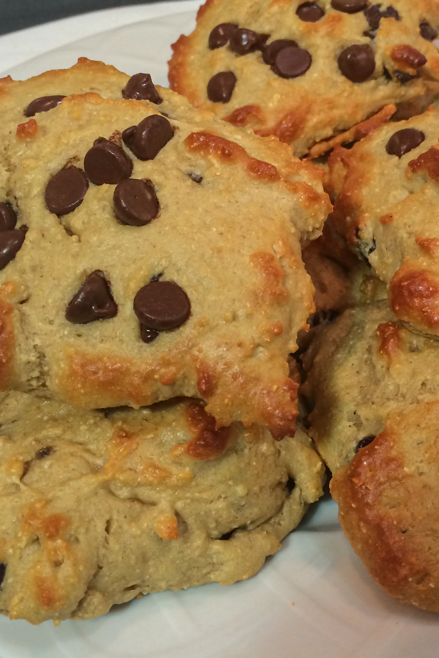 Protein Chocolate Chip Cookies