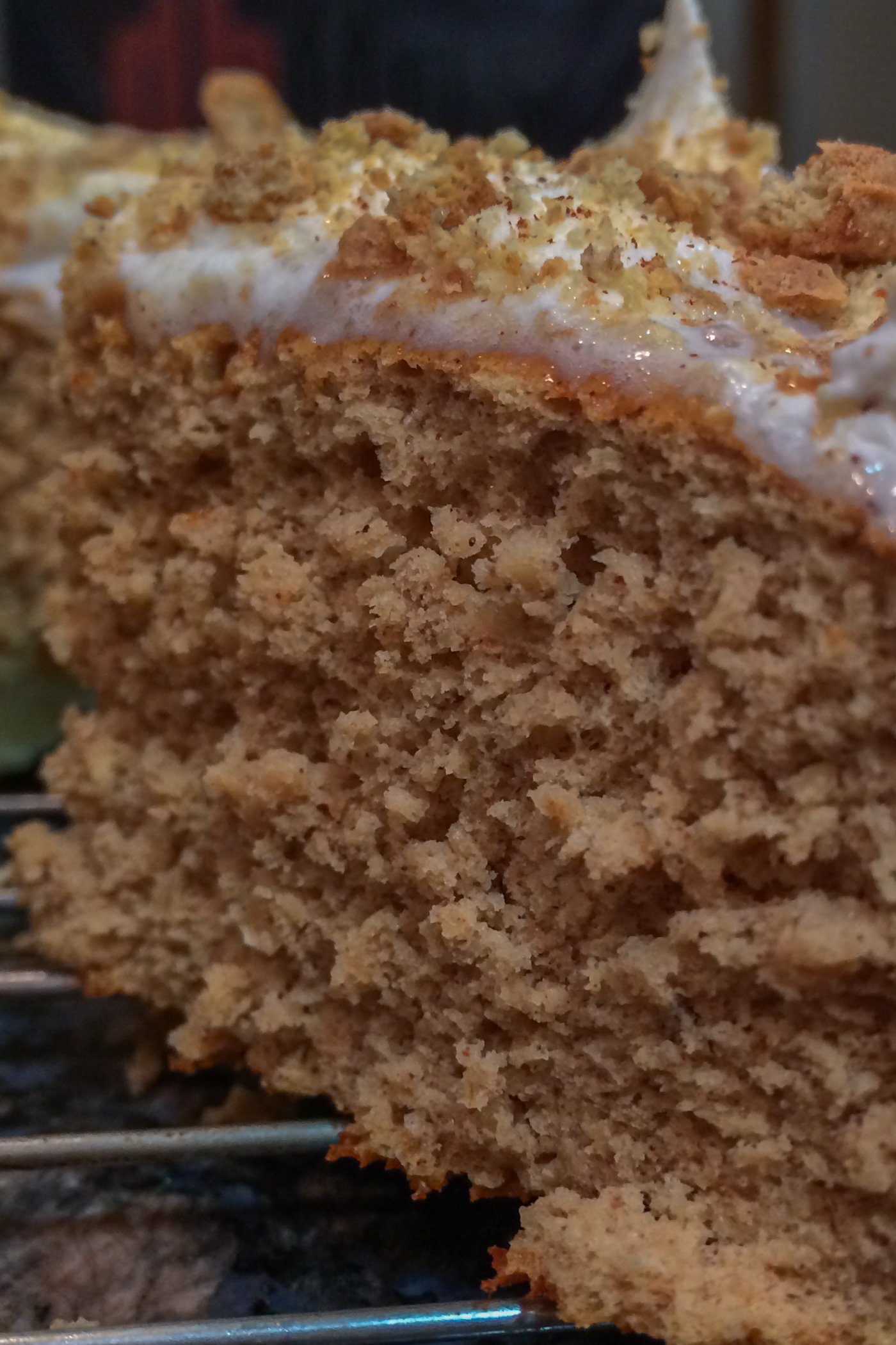Protein Gingerbread Cake