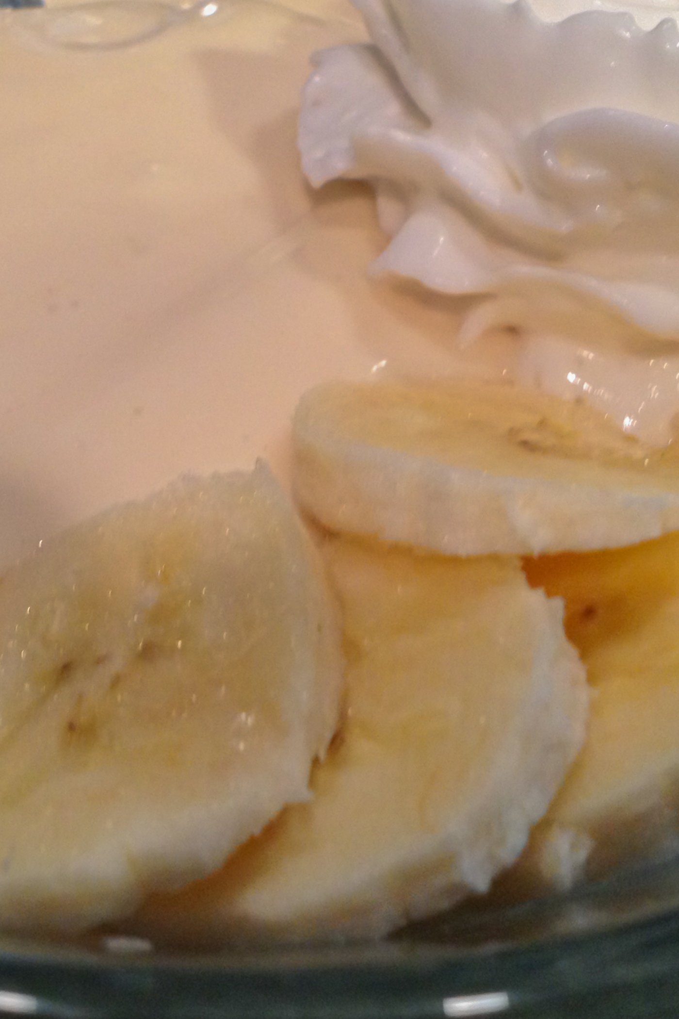 Protein Pudding or Sludge