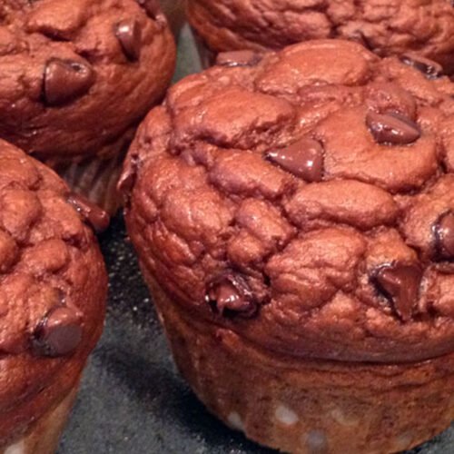 Protein Pumpkin Chocolate Chip Muffins Recipe