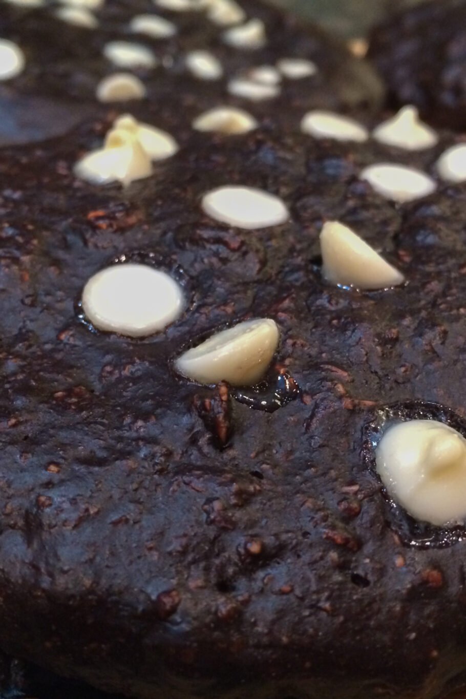 Protein Triple Chocolate Oatmeal Cookies Recipe