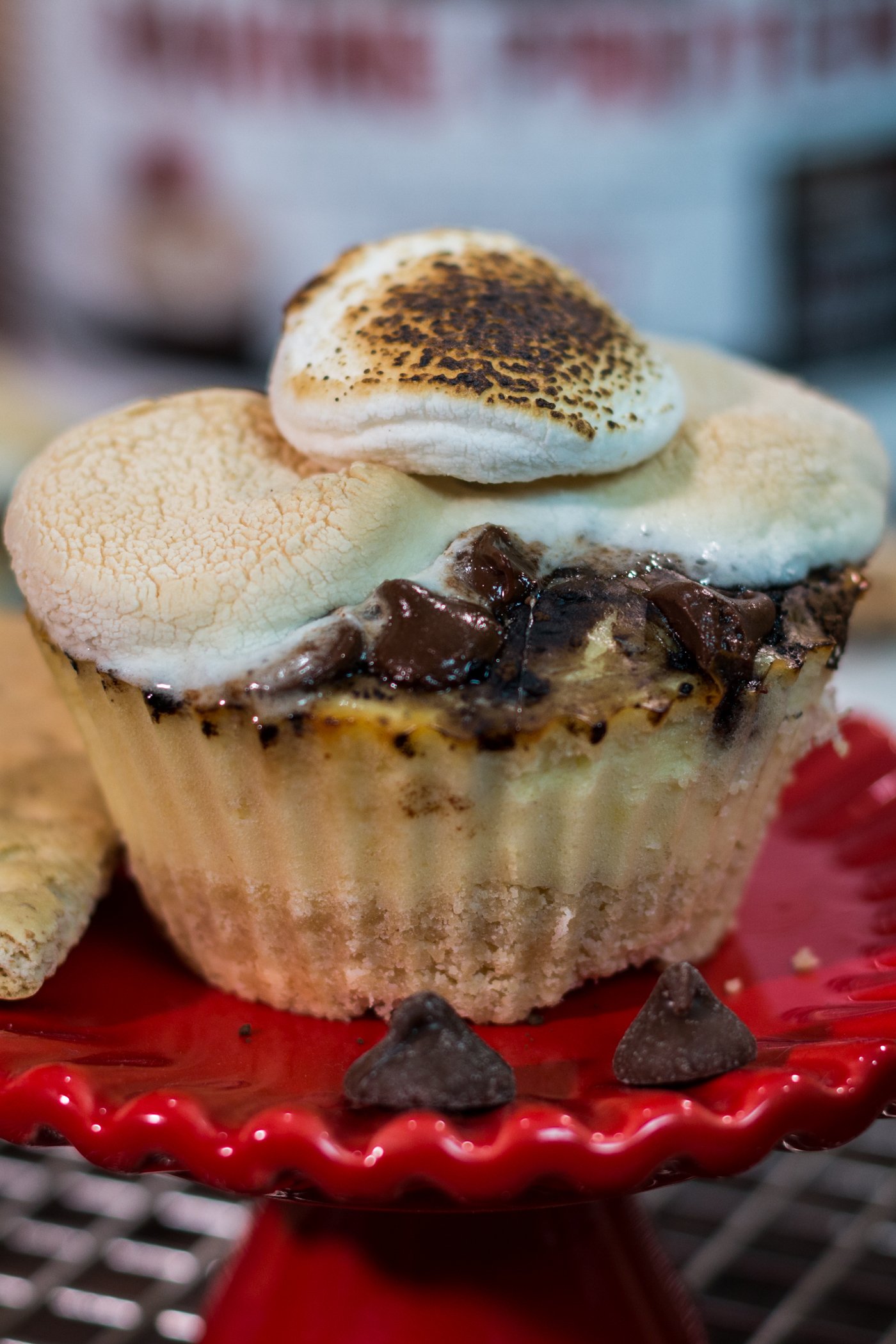 S'mores Cheesecake Protein Cupcakes