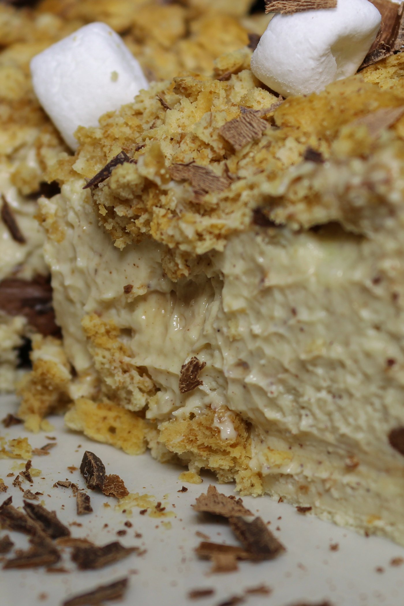 S'mores Protein Cheesecake