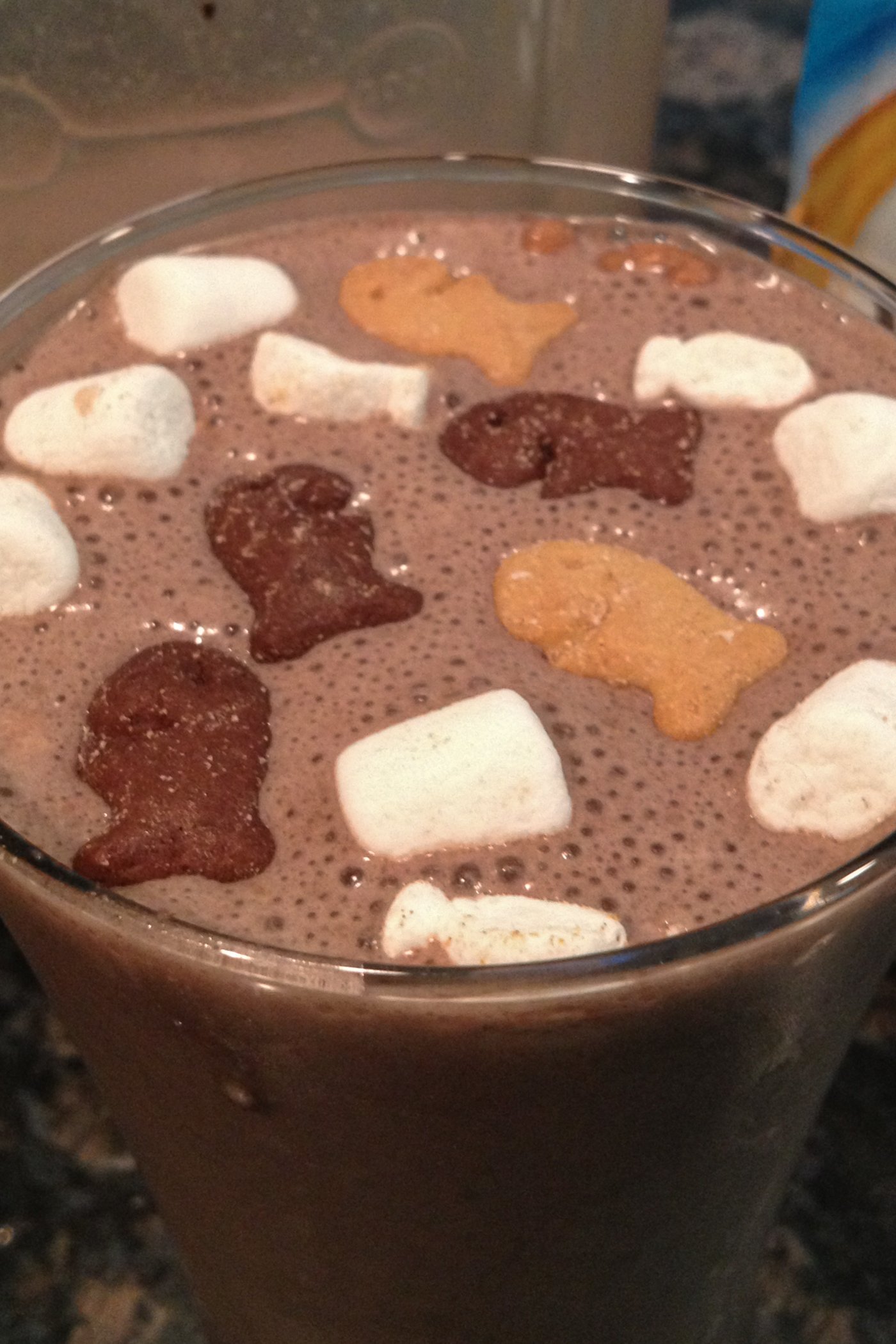 S'mores Protein Shake