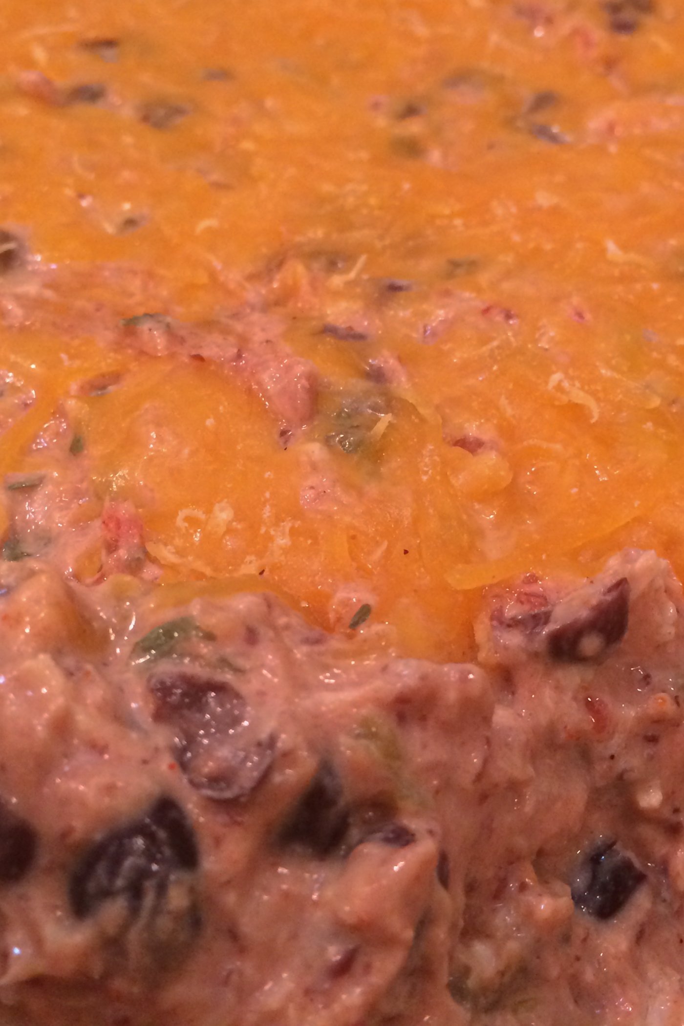 Taco Tuna Bean Dip