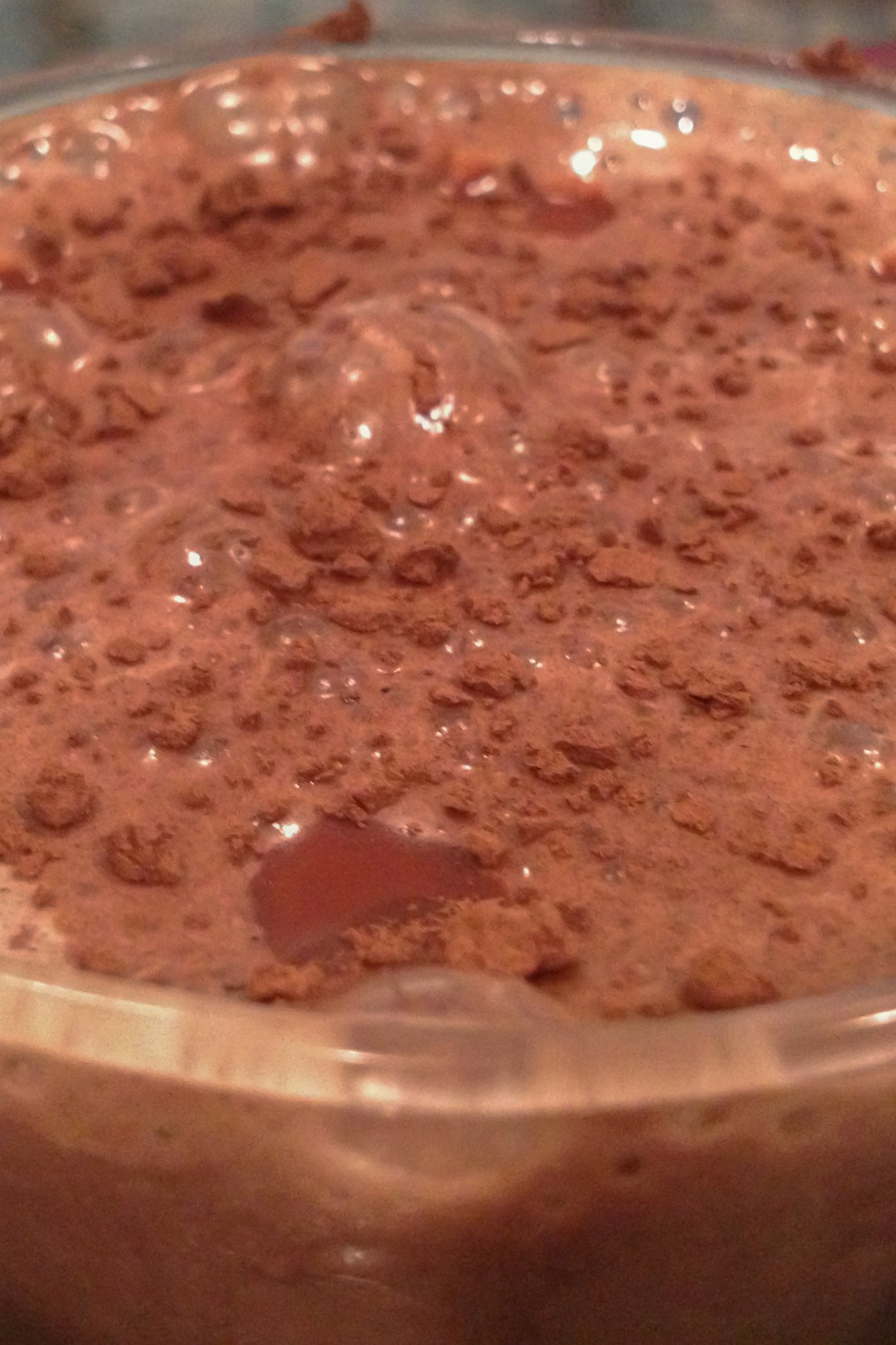 Triple Chocolate Protein Shake