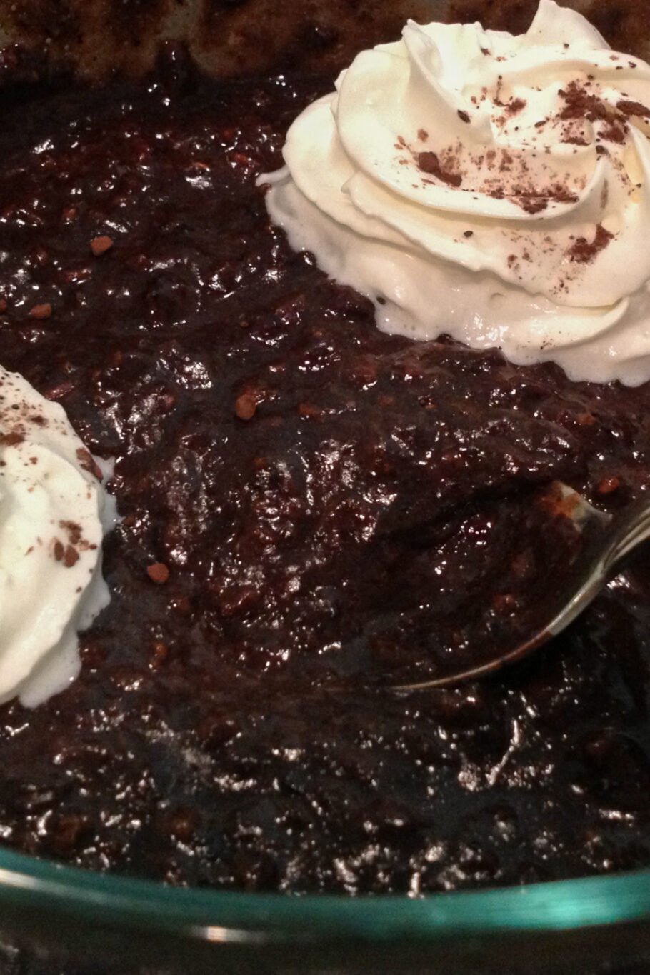 Chocolate Peanut Butter Protein Oatmeal Recipe