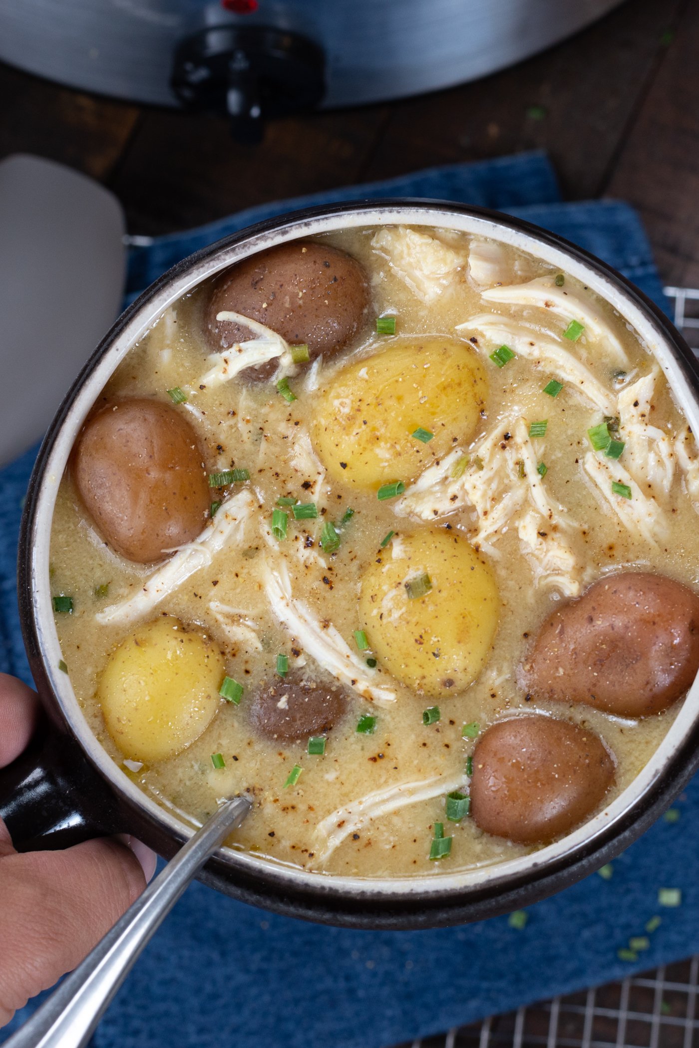 Slow Cooker Chicken & Gravy