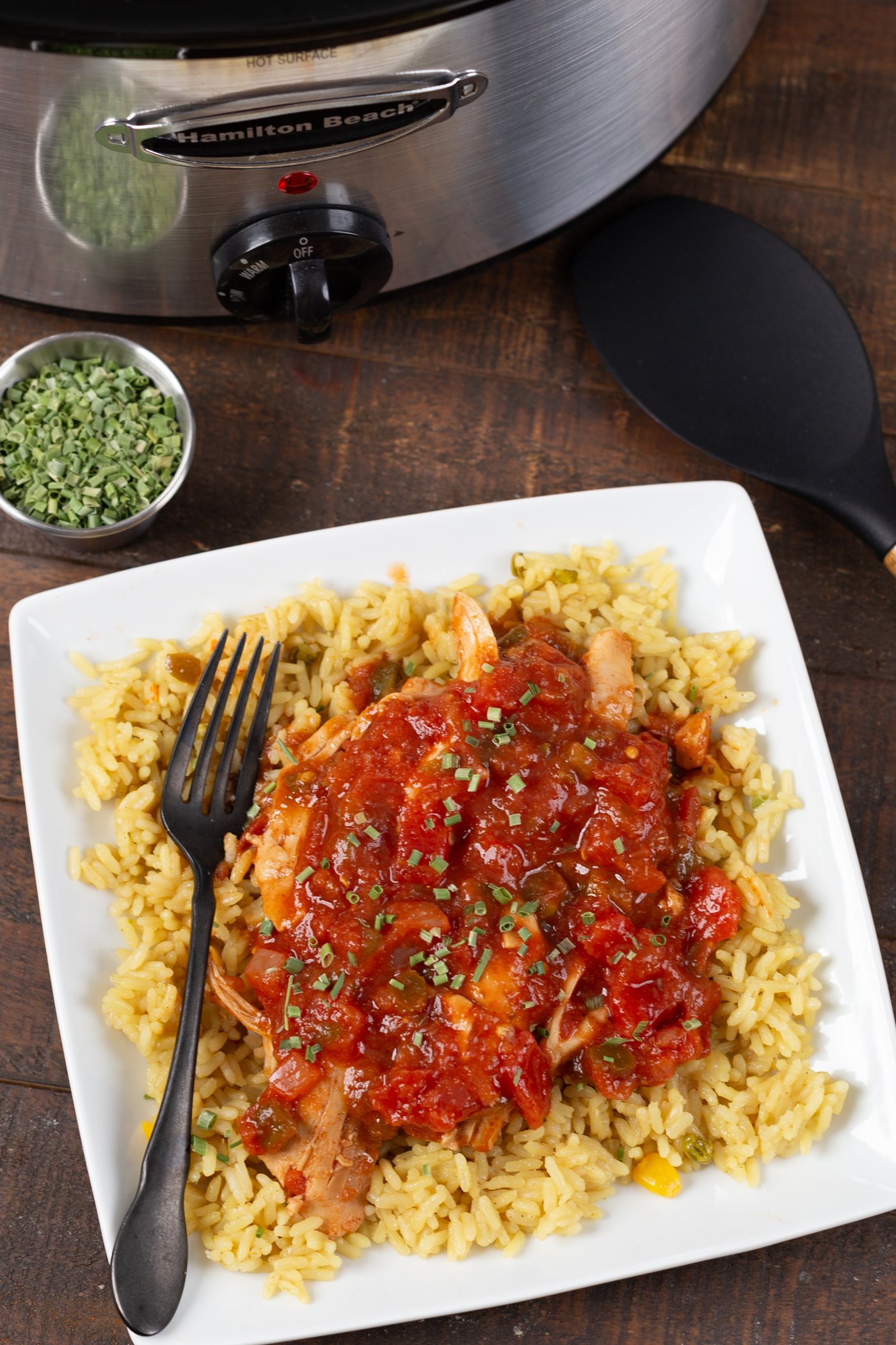 Slow Cooker Salsa Chicken