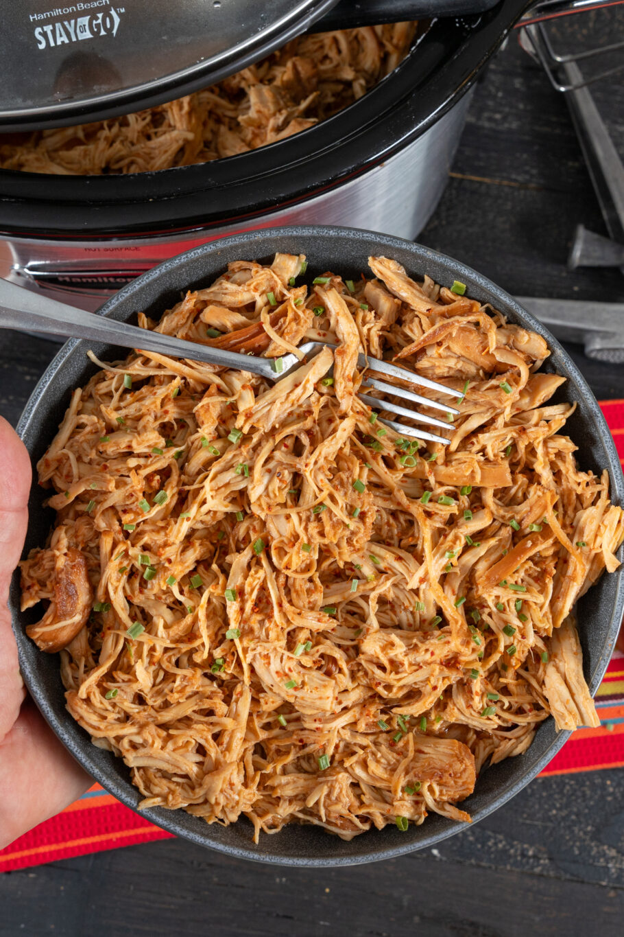 Slow Cooker Honey Garlic Chicken Recipe