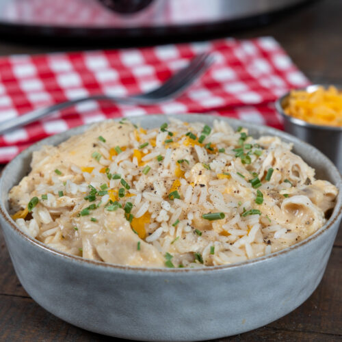 Slow Cooker Creamy Chicken and Rice Recipe