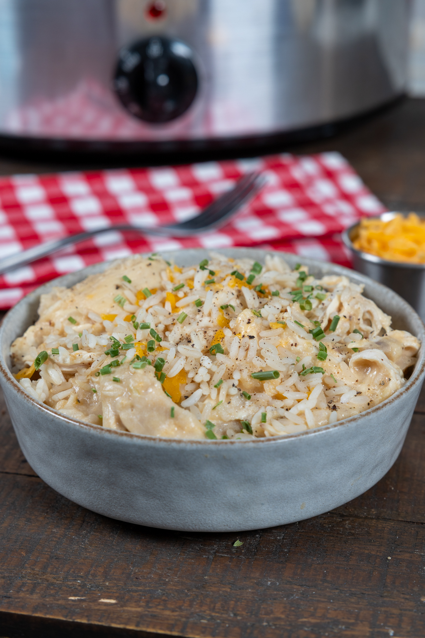 Slow Cooker Creamy Chicken and Rice